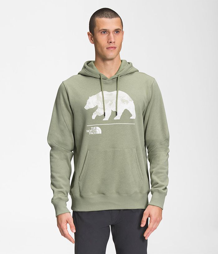 Sudadera Con Capucha The North Face Hombre Verde Bearscape Pullover 72960VZMJ